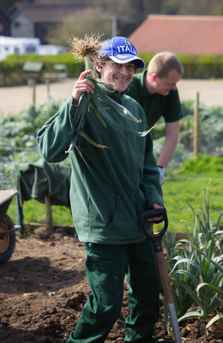 growing places harvesting leeks