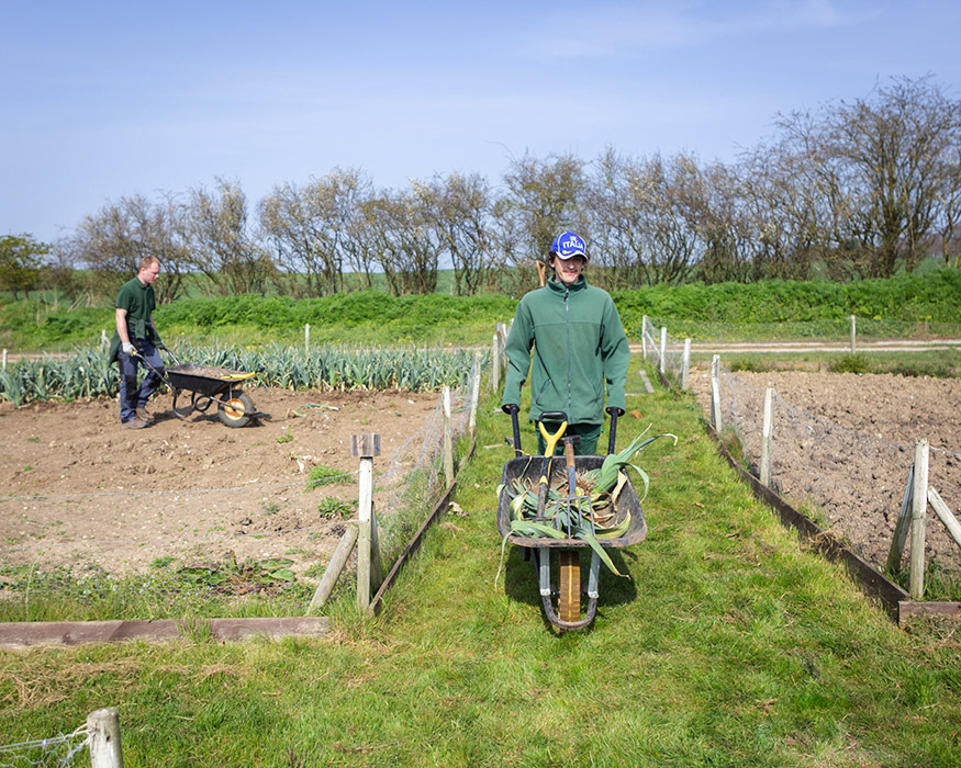 growing places supported work placements