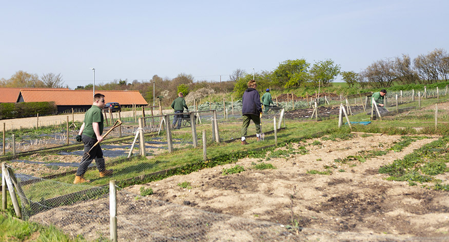 growing places - social enterprise growing vegetables for local veg boxes